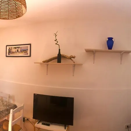 The Shark's House דירה אולביה