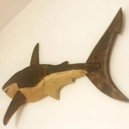 شقة The Shark's House