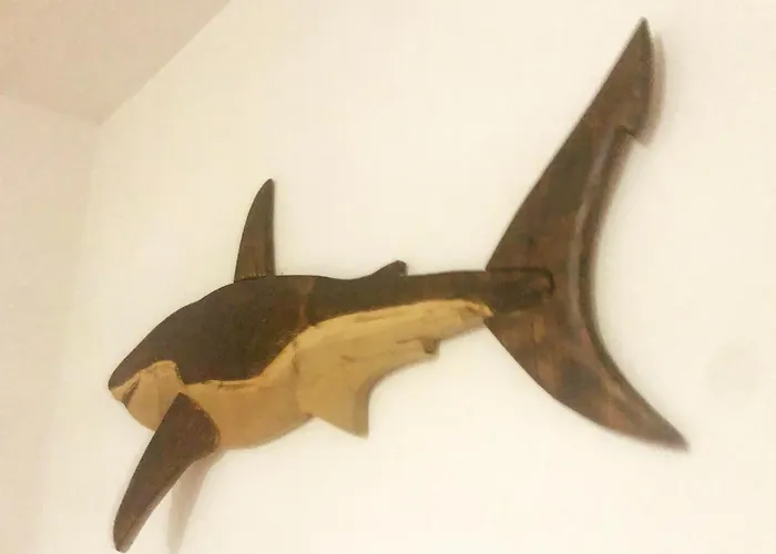 Apartment The Shark's House